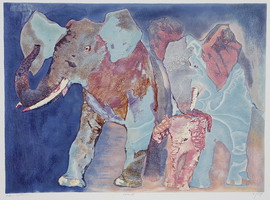 Elephant Family by Edwin Salomon