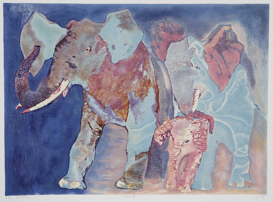 View 1 of Elephant Family