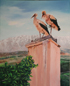 Storks by David Cohen